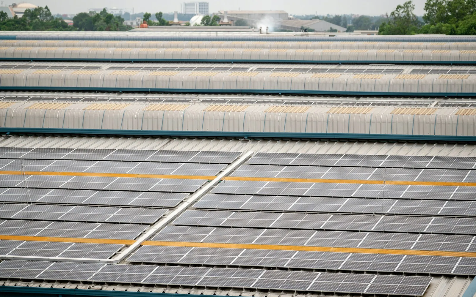 Panneaux photovoltaïques installés sur une grande toiture professionnelle